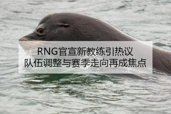 RNG官宣新教练引热议 队伍调整与赛季走向再成焦点